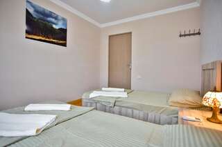 Мини-отель Guest House Wineland Кутаиси Двухместный номер с 2 отдельными кроватями-7